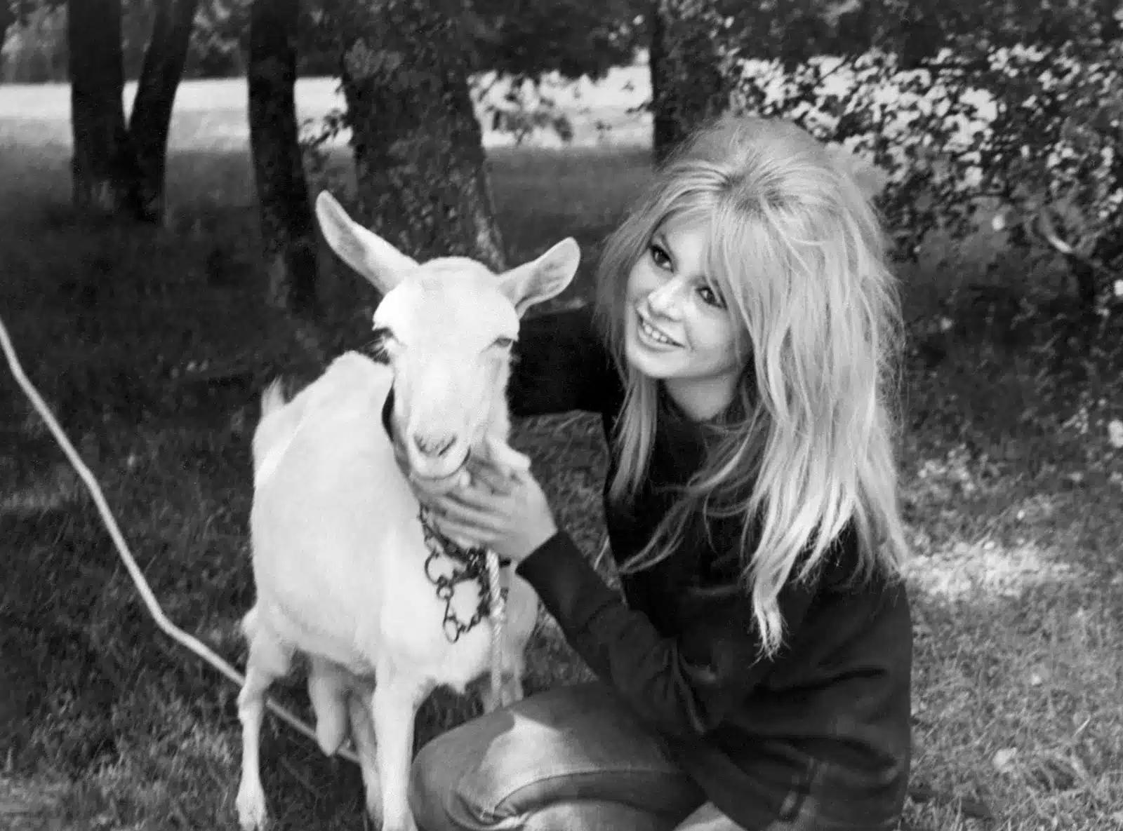 Brigitte bardot