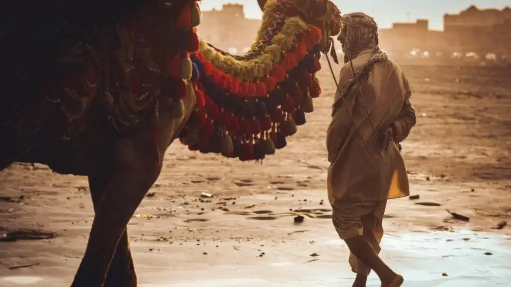 Pillole di storia medievale, il più grande impero del medioevo