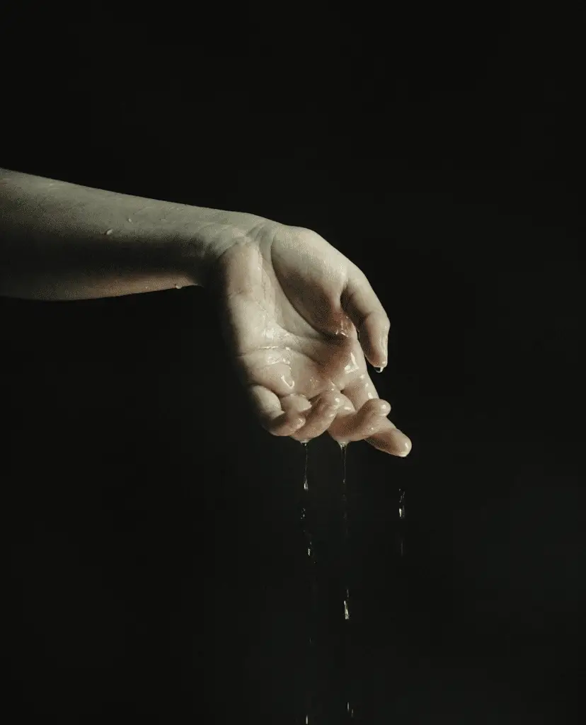 Galleria leòn riapre al pubblico fino al 24 gennaio con la mostra collettiva