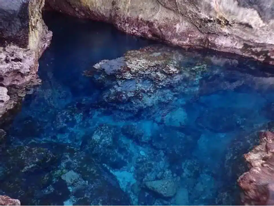 Buracona blue eye