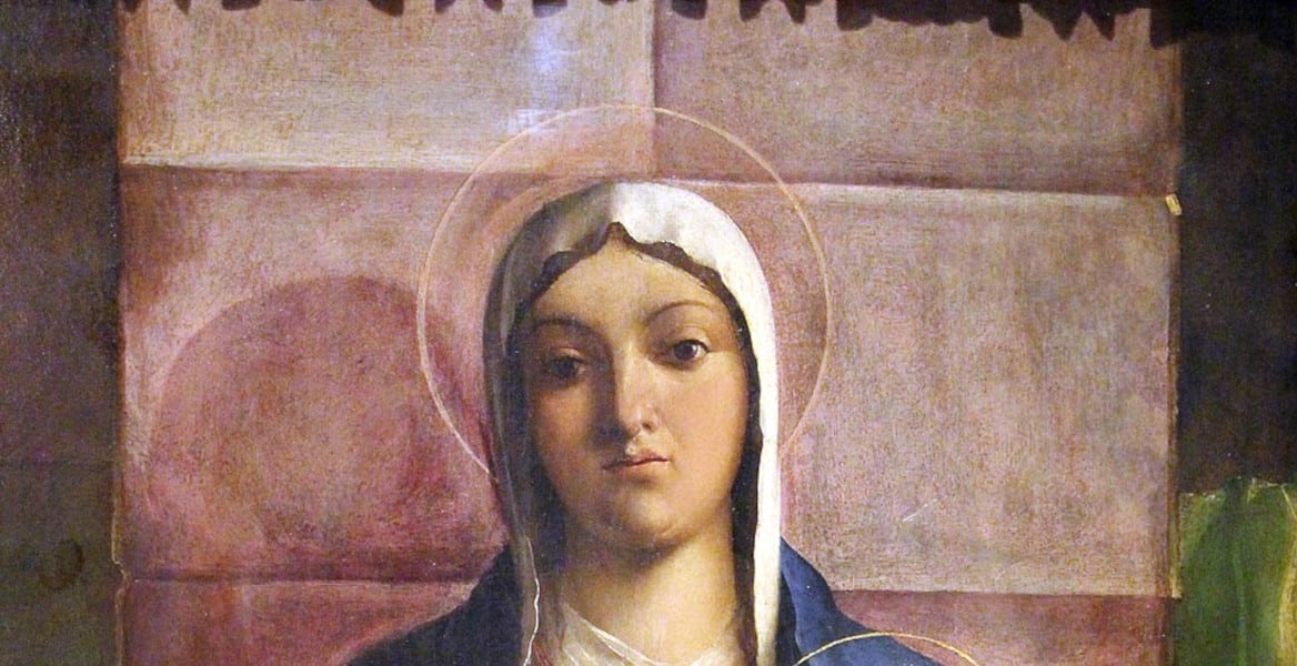 Palazzo chiericati a vicenza, opere esposte nel museo civico
