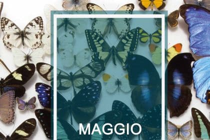 Il polo museale, sapienza cultura presenta il programma di maggio museale e notte europea dei musei 2026