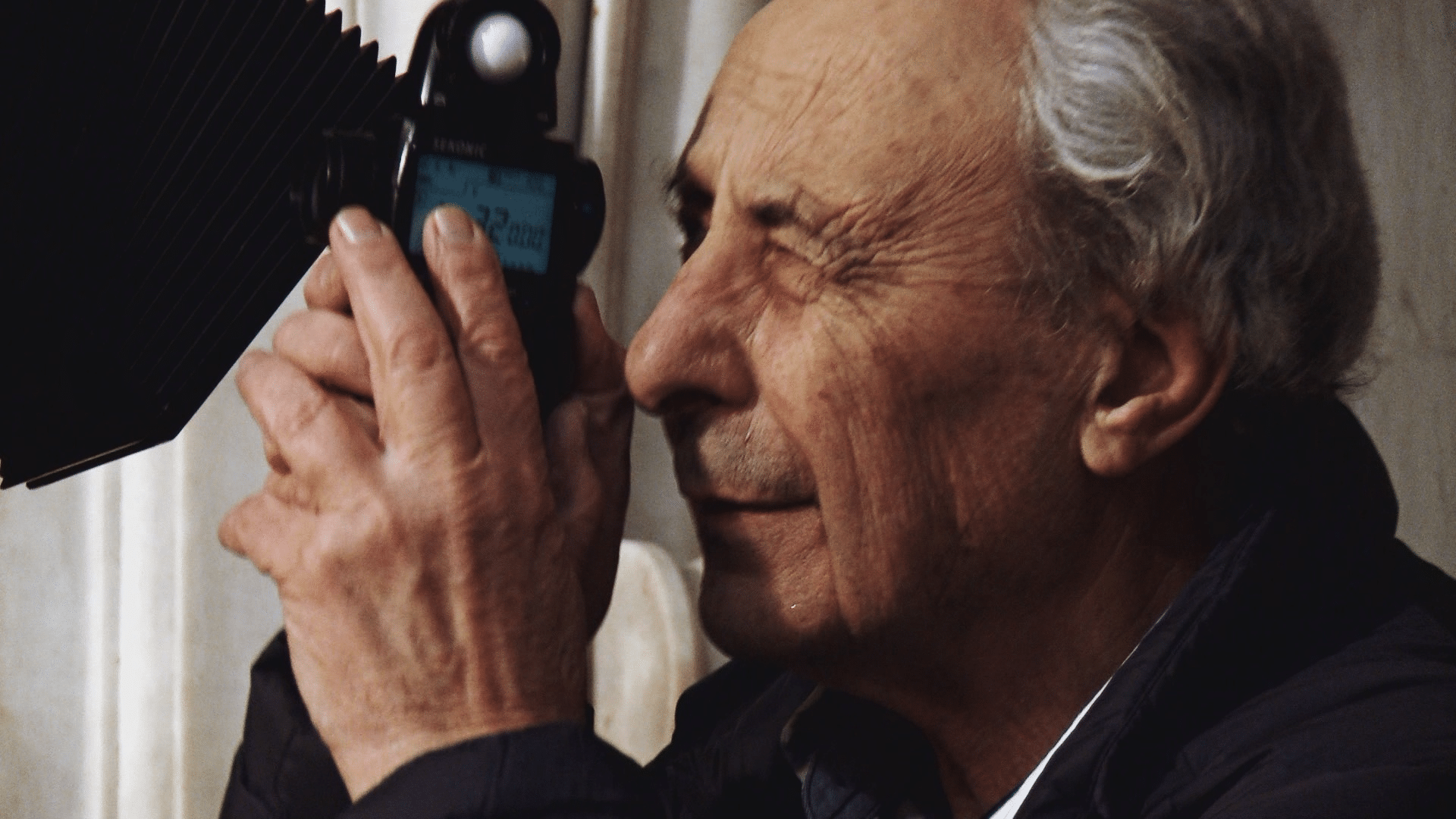 Aurelio amendola a palazzo reale dal 16 giugno