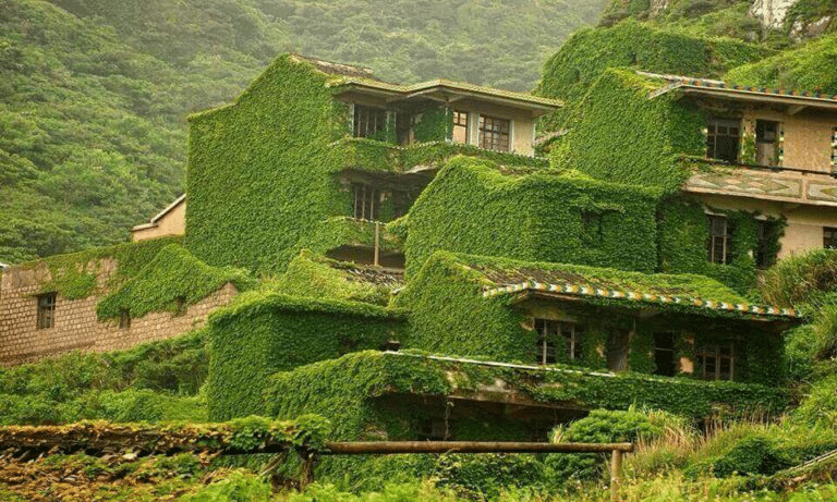 Destinazioni sconosciute #100: houtouwan, l'isola dove il verde ha vinto