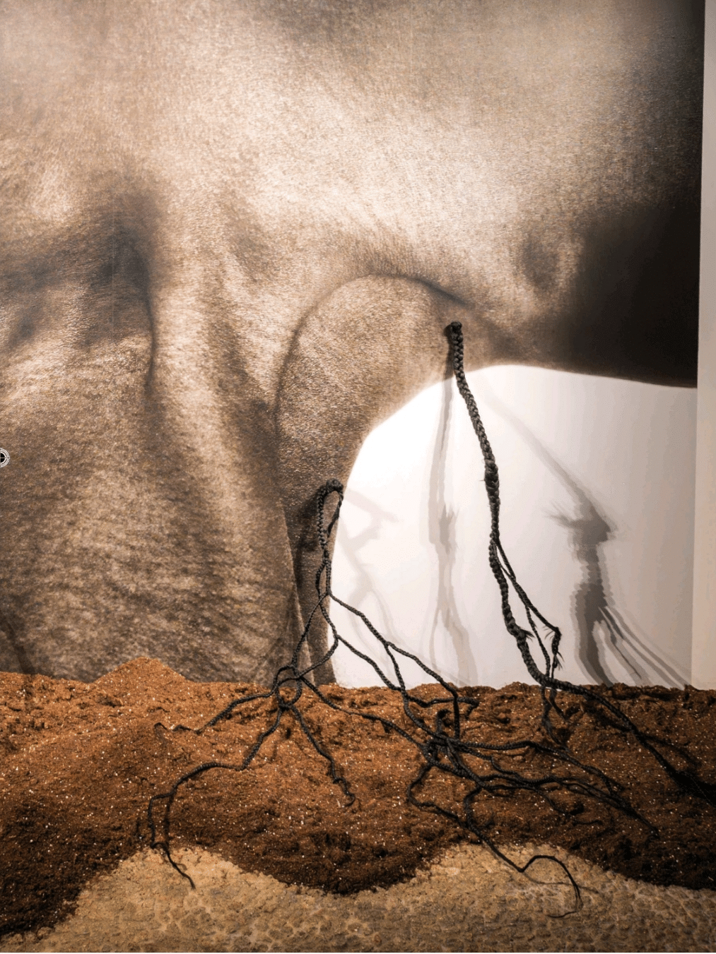 Soil art tales a villa altieri racconta la crisi climatica