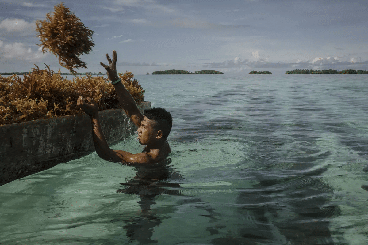 World press photo 2026 a roma fino al 29 giugno