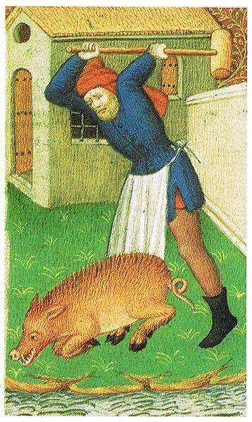 Pillole di storia medievale, il processo agli animali