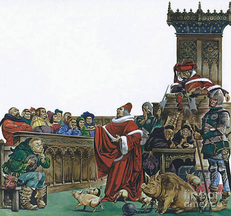 Pillole di storia medievale, il processo agli animali