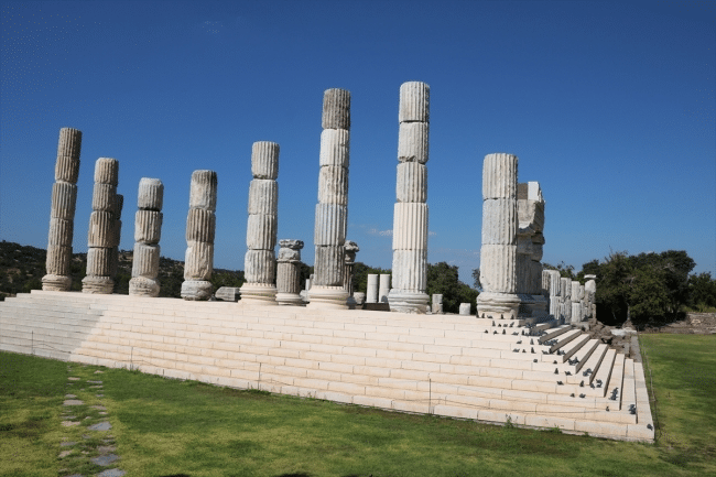 Perché apollo era associato ai topi? Il significato di apollo smintheus e il mistero di gortina