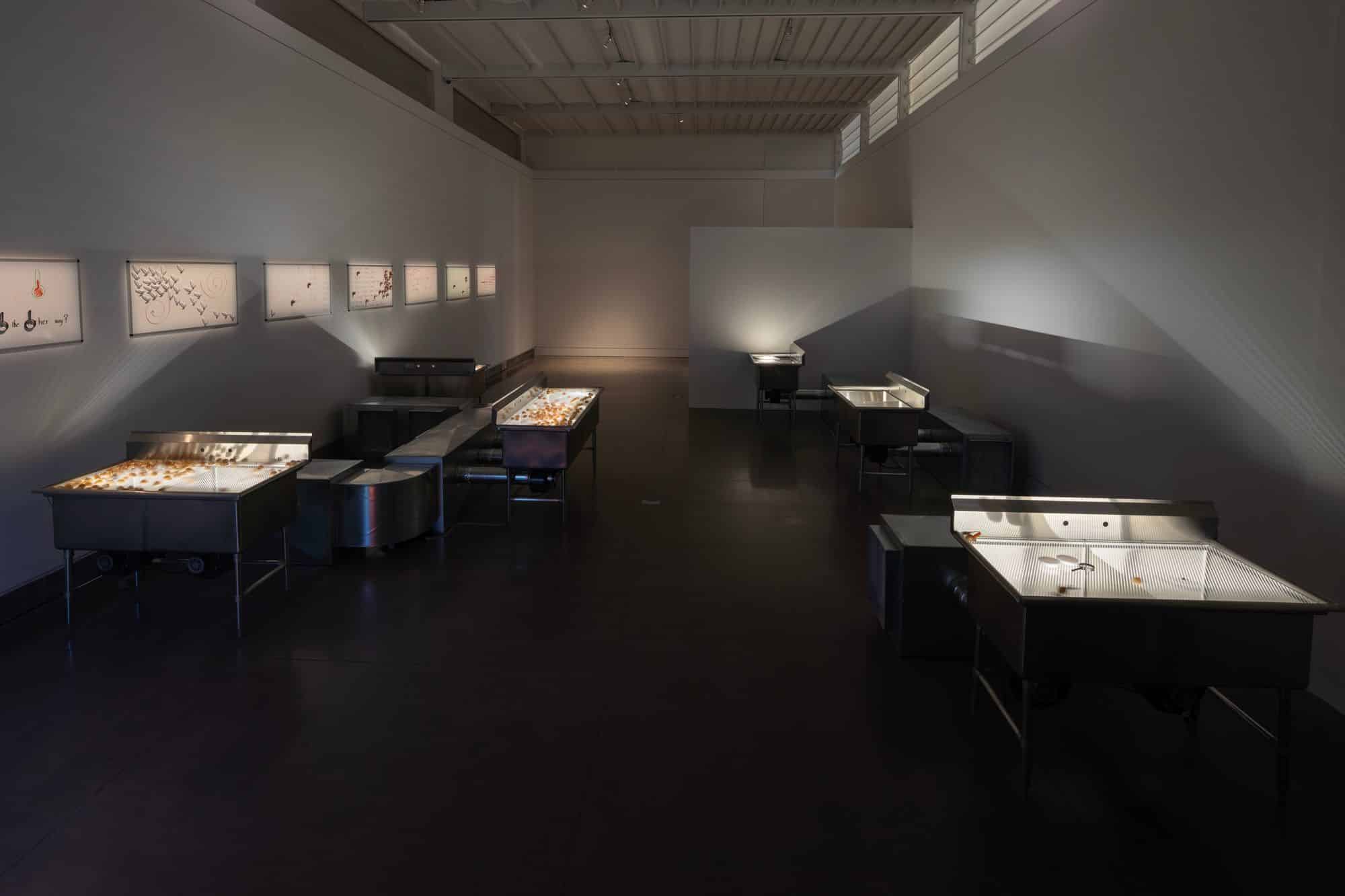 Installazione di aki sasamoto point reflection al queens museum