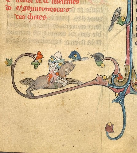 Cavaliere che carica una lumaca in un manoscritto medievale del trecento