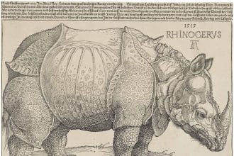 Il rinoceronte di albrecht dürer del 1515, opera presente nella mostra oltre il rinascimento a firenze