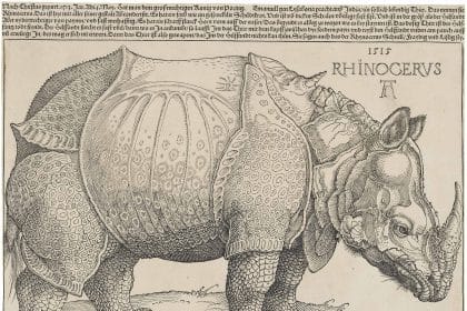 Il rinoceronte di albrecht dürer del 1515, opera presente nella mostra oltre il rinascimento a firenze