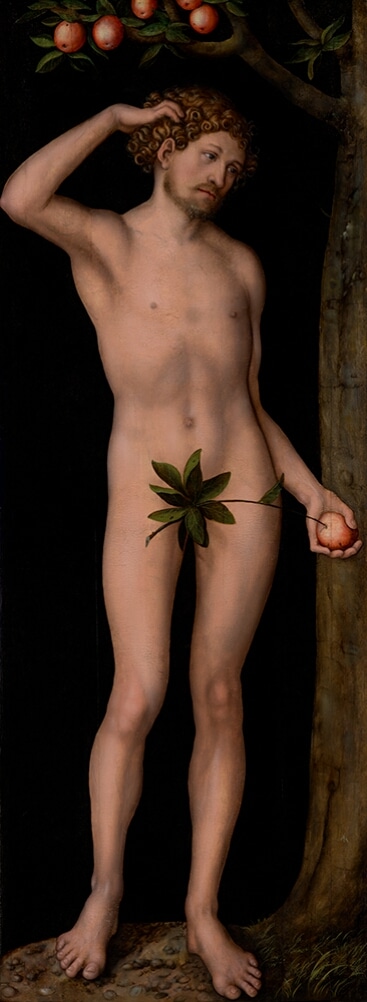 Adamo di lucas cranach il vecchio, pannello del dittico adamo ed eva del 1530