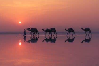 Photofest immagini sul lago 2026, fotografia della mostra laghi nel mondo