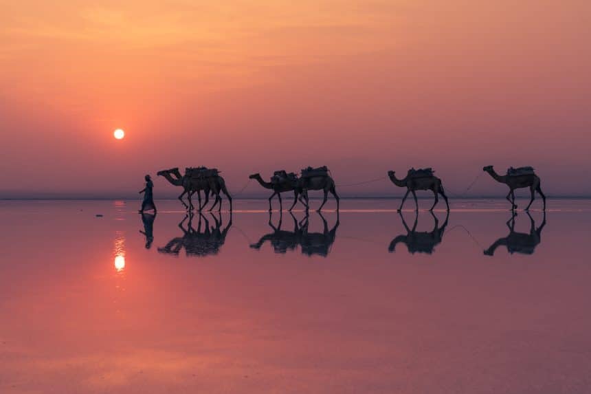 Photofest immagini sul lago 2026, fotografia della mostra laghi nel mondo