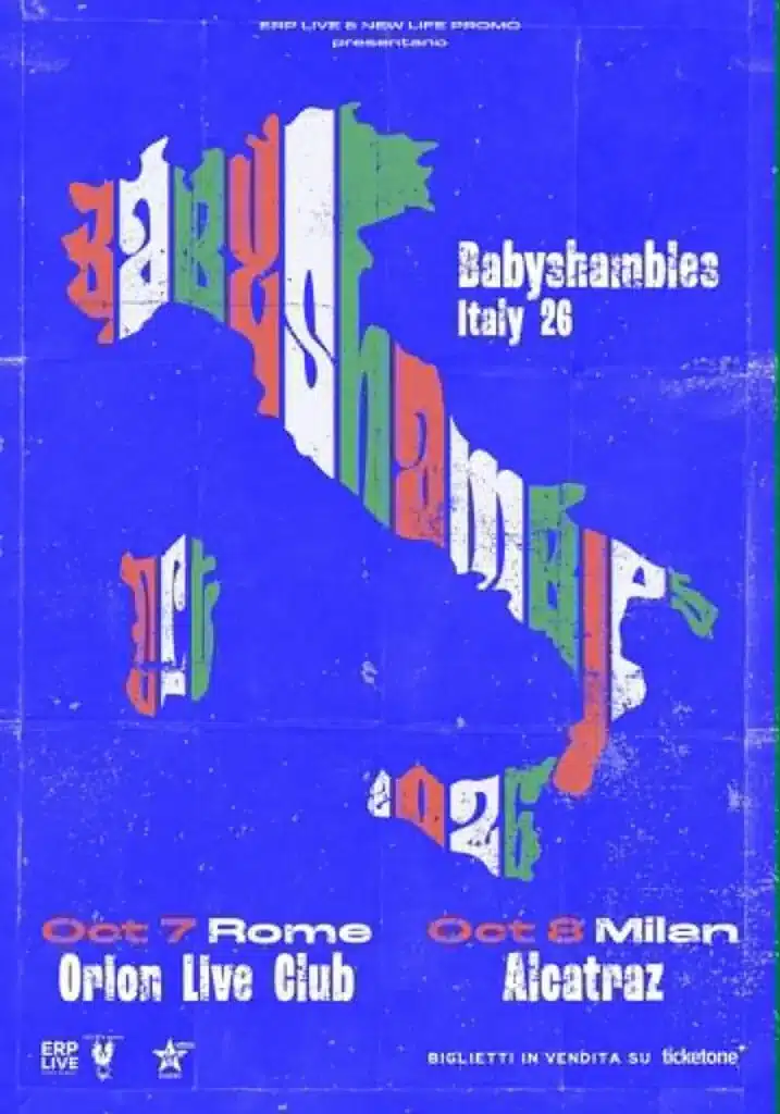 Babyshambles in concerto a ciampino nel 2026