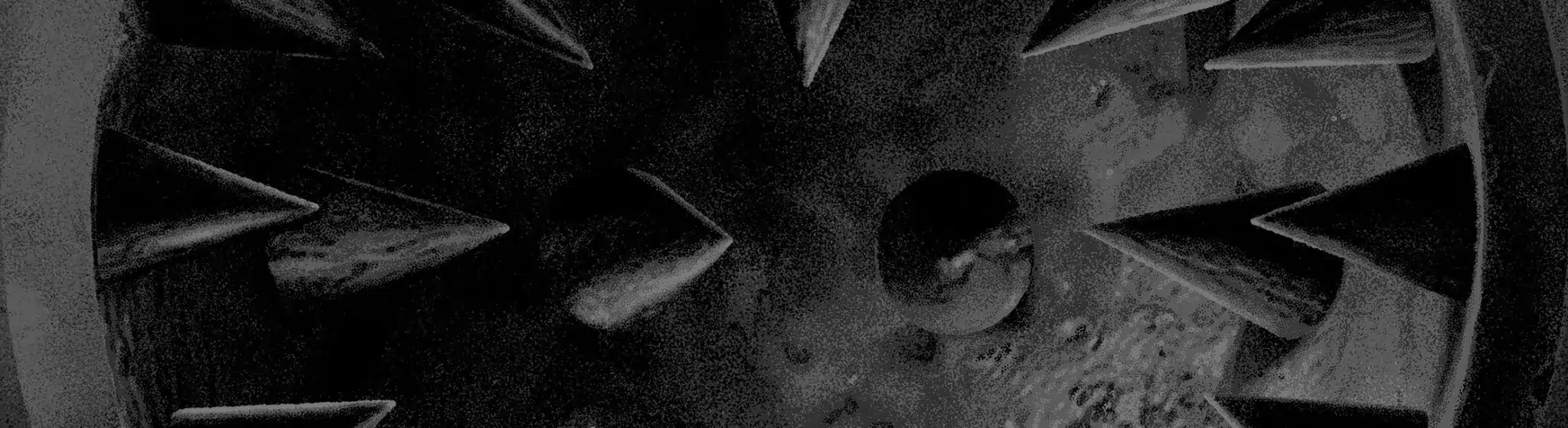 Der weg einer freiheit in concerto nel 2026